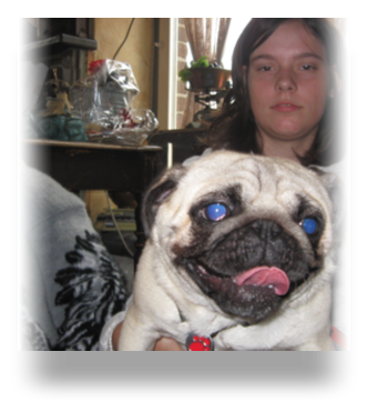 collage image title