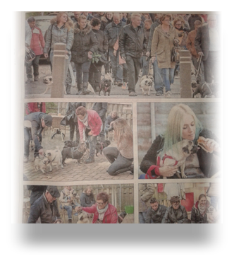 collage image title